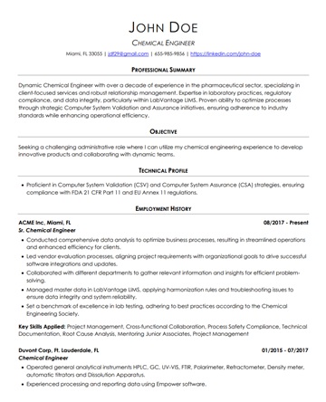 Professional resume template preview